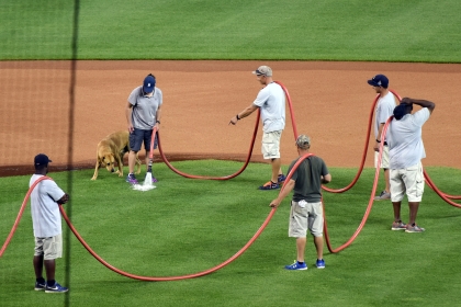 A dog gets thirsty running around Comerica Park as the grounds crew waters the infield June 17, 2015. (Tanya Moutzalias | MLive Detroit)